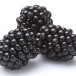 Organic Blackberries