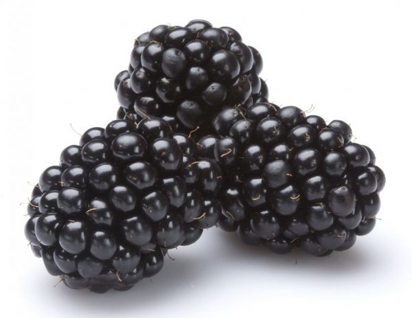 blackberries (organic)