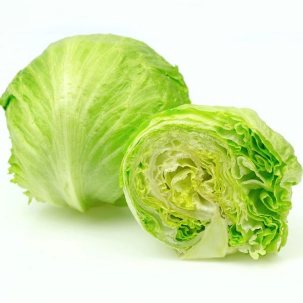 iceberg lettuce (organic)