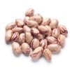 beans (organic)