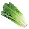 romaine lettuce (organic)