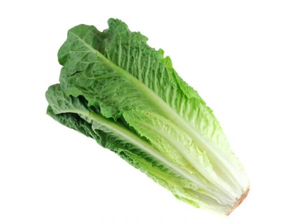 romaine lettuce (organic)