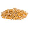 pop corn kernel