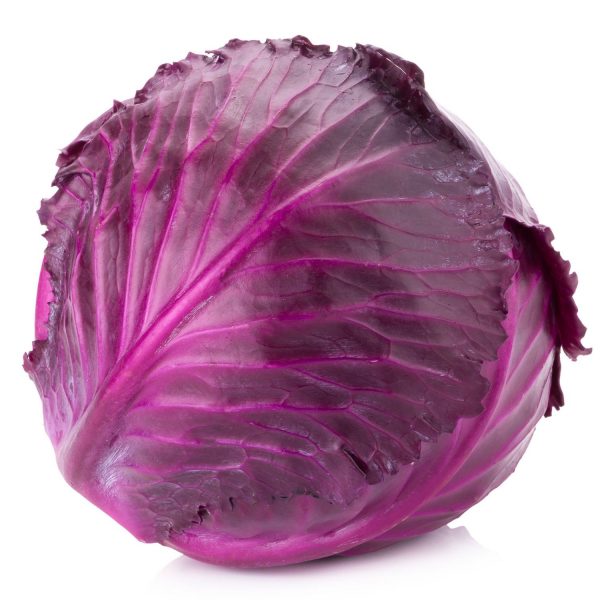 red cabbage (organic)