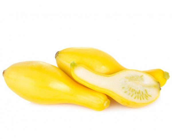 yellow squash (organic)