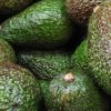 mexicn avocado