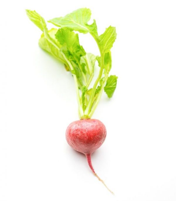 radish (organic)