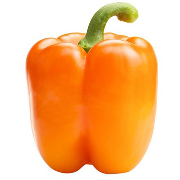 orange bell pepper (organic)