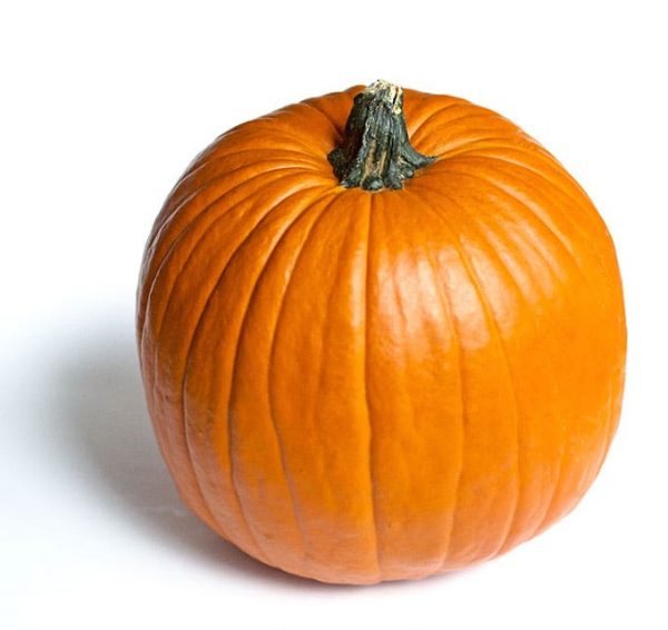 pumpkin (organic)